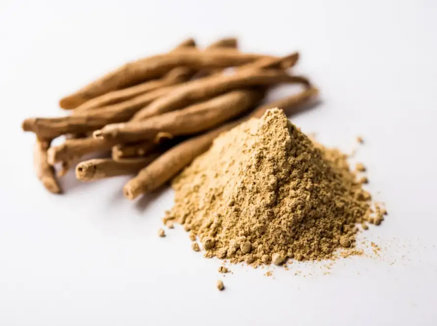Ashwagandha-leaf