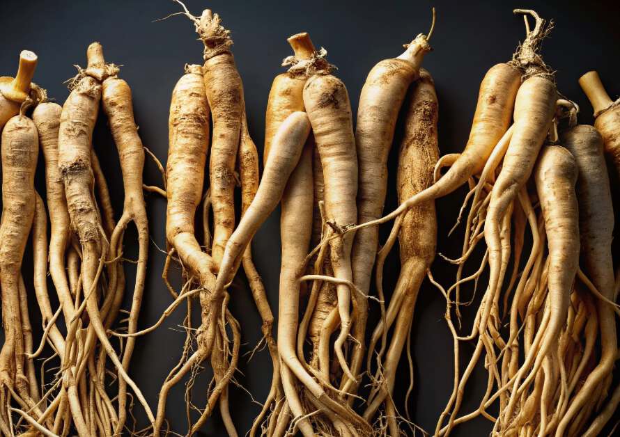 The Truth About Ginseng and Male Performance